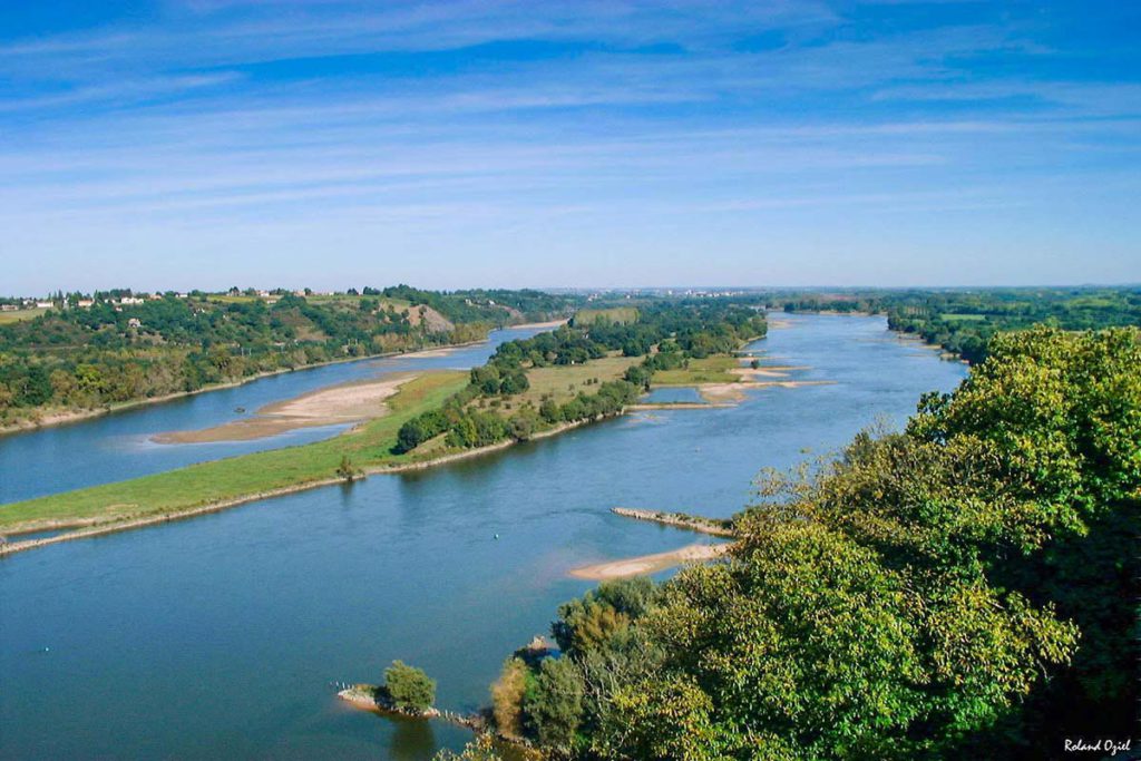 Bords de Loire 